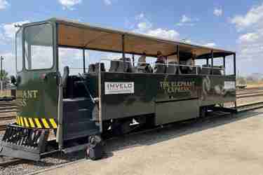 Elephant Express Train, Hwange National Park, Zimbabwe