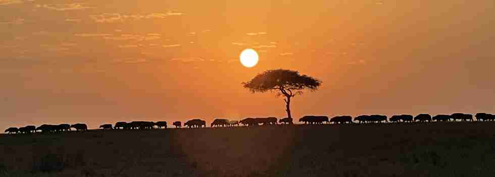 Sunset, Masaai Mara, Kenya