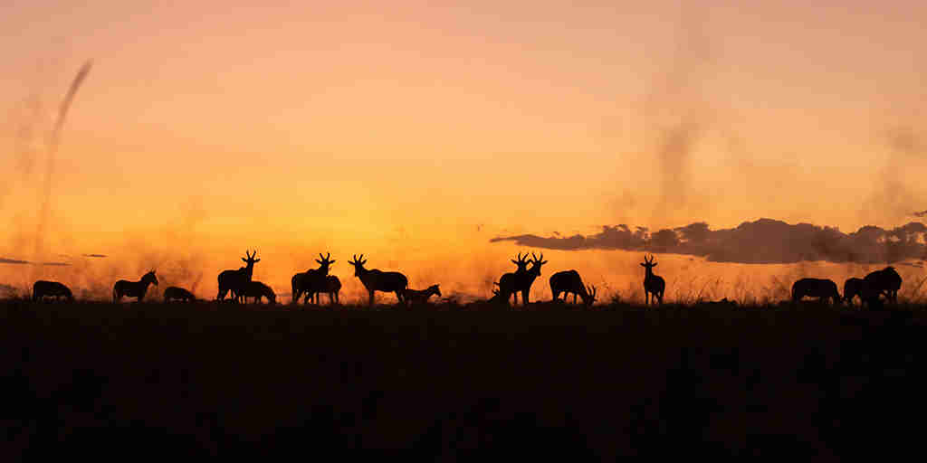 sunset, mara toto camp, maasai mara, Kenya