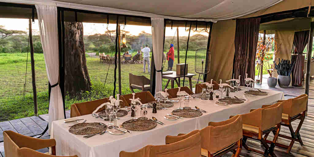 dining table, lemala ndutu, the serengeti, tanzania