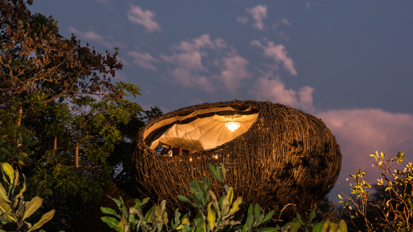 night, chisa busanga camp, kafue national park, zambia