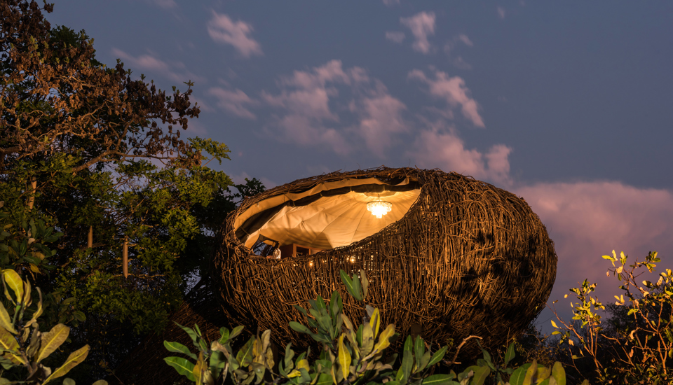 night, chisa busanga camp, kafue national park, zambia