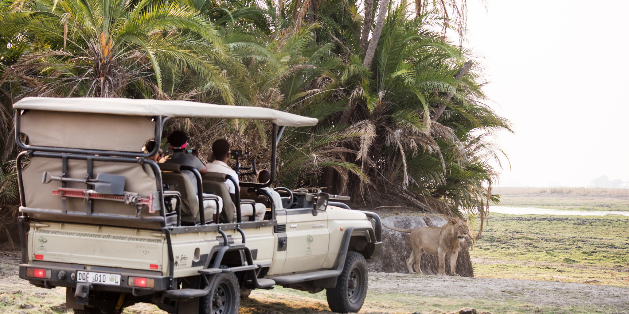 game drive, chisa busanga camp, kafue national park, zambia