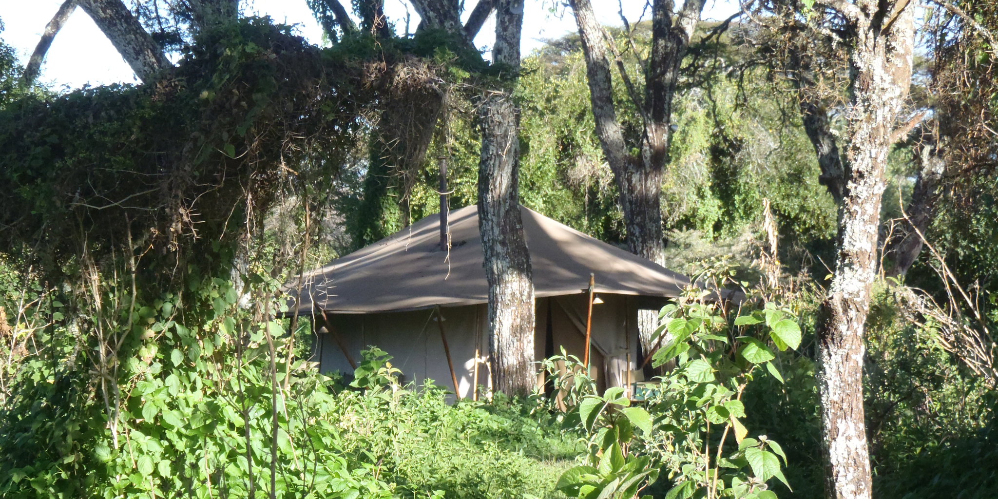 Ngorongoro Classic Green Camp, Tanzania