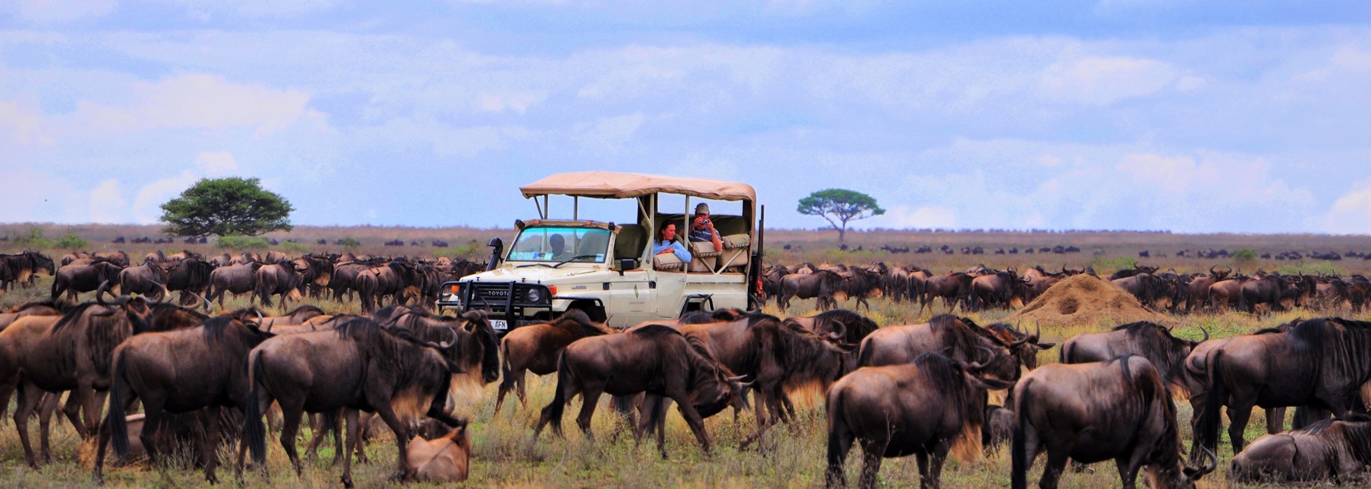 Ngorongoro camp migration views