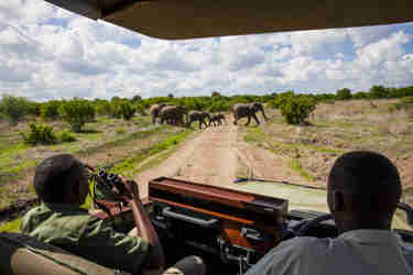 nyerere, southern tanzania, tanzania vs kenya safaris
