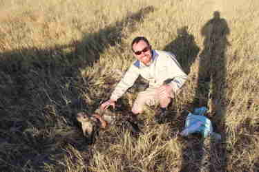 wild dog rescue, botswana