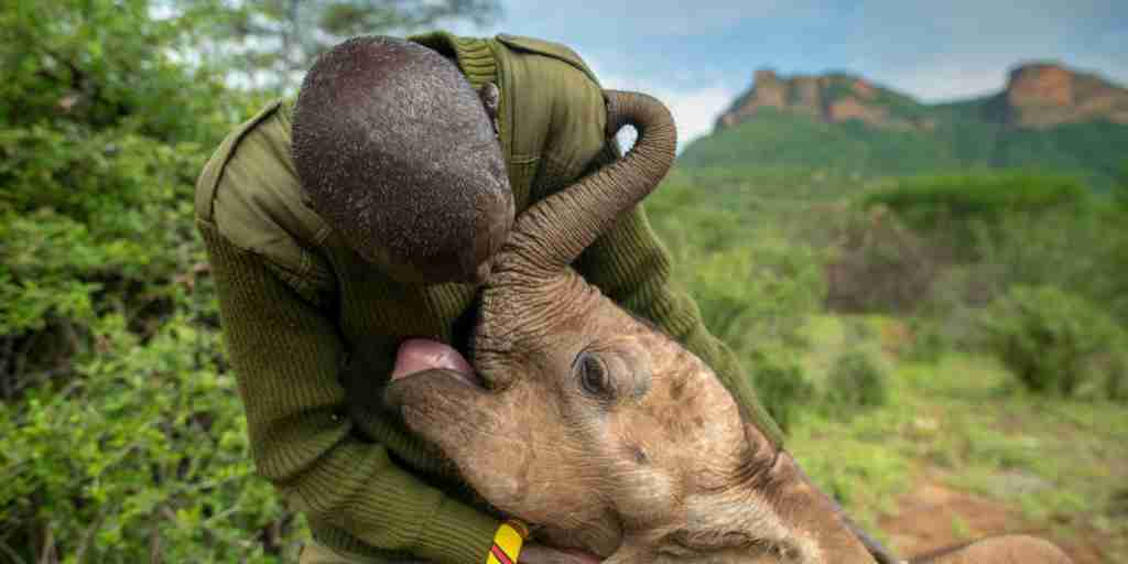 head keeper, elephant santuary, reteti house, matthews range, kenya