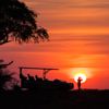 sunset game drive, chisa busanga camp, kafue national park, zambia
