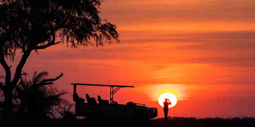sunset game drive, chisa busanga camp, kafue national park, zambia