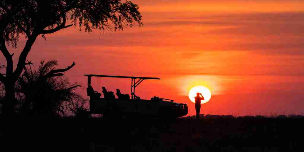 sunset game drive, chisa busanga camp, kafue national park, zambia