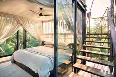 treehouse bedroom, ngala tented camp, timbavati private game reserve, south africa 