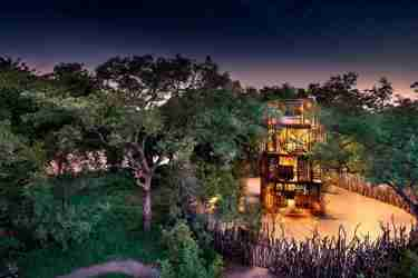 treehouse exterior stars, ngala tented camp, timbavati private game reserve, south africa