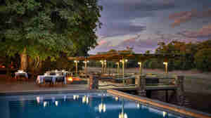 evening plunge pool, mfuwe lodge, south luangwa national park, zambia