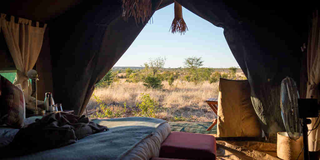 temt view, hwange bush camp, hwange national park, zimbabwe