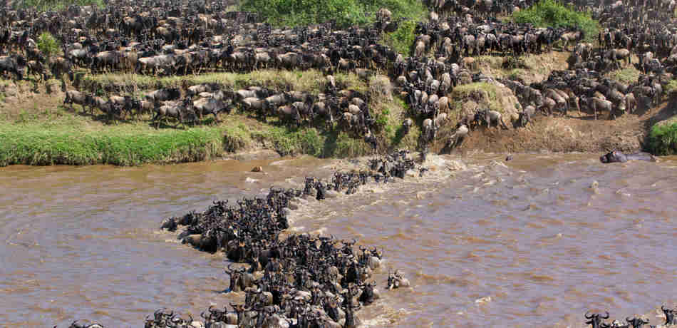 the great migration, september in Tanzania, safari africa