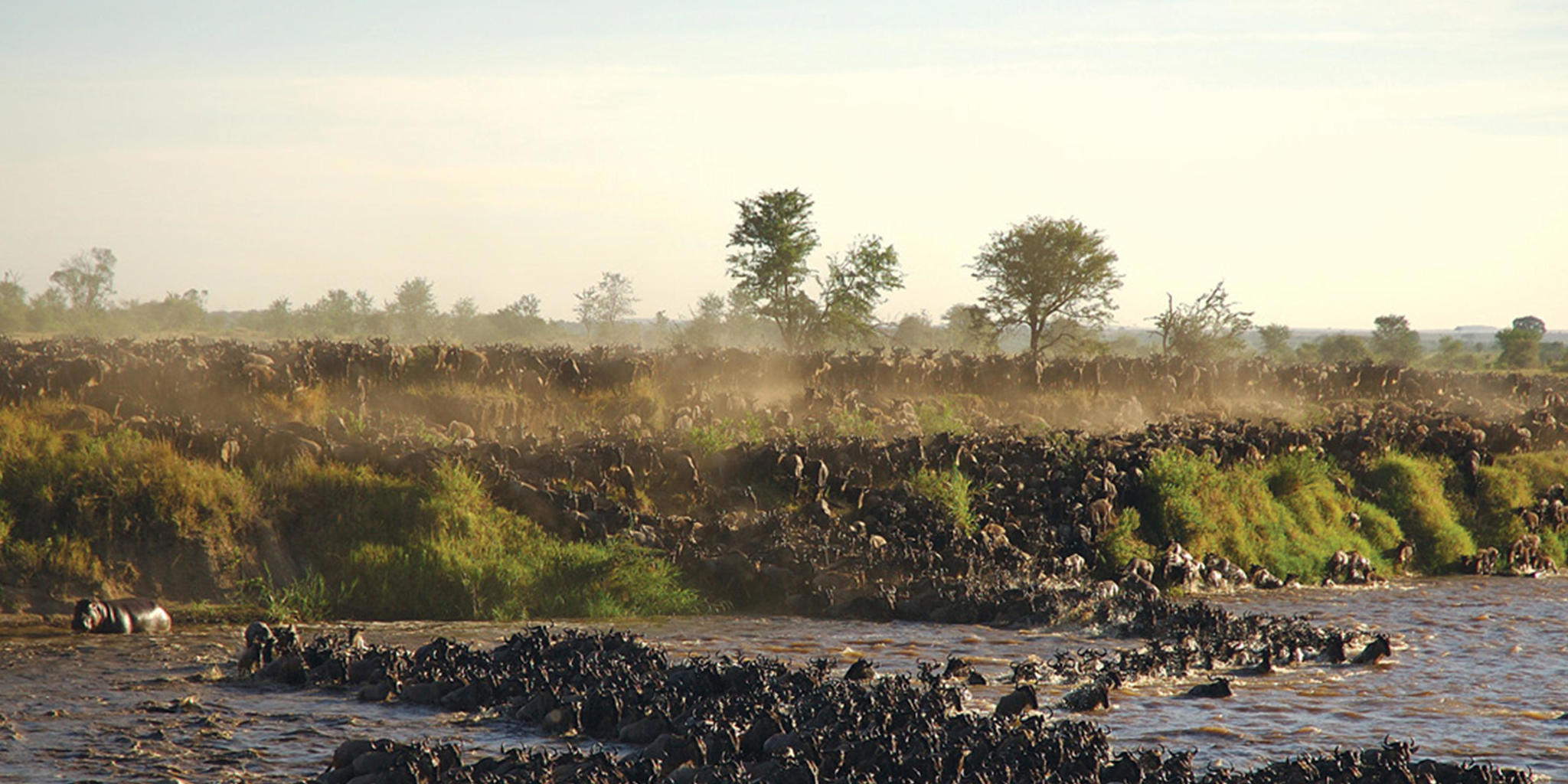 Sayari Mara River crossing, sayari camp, tanzania