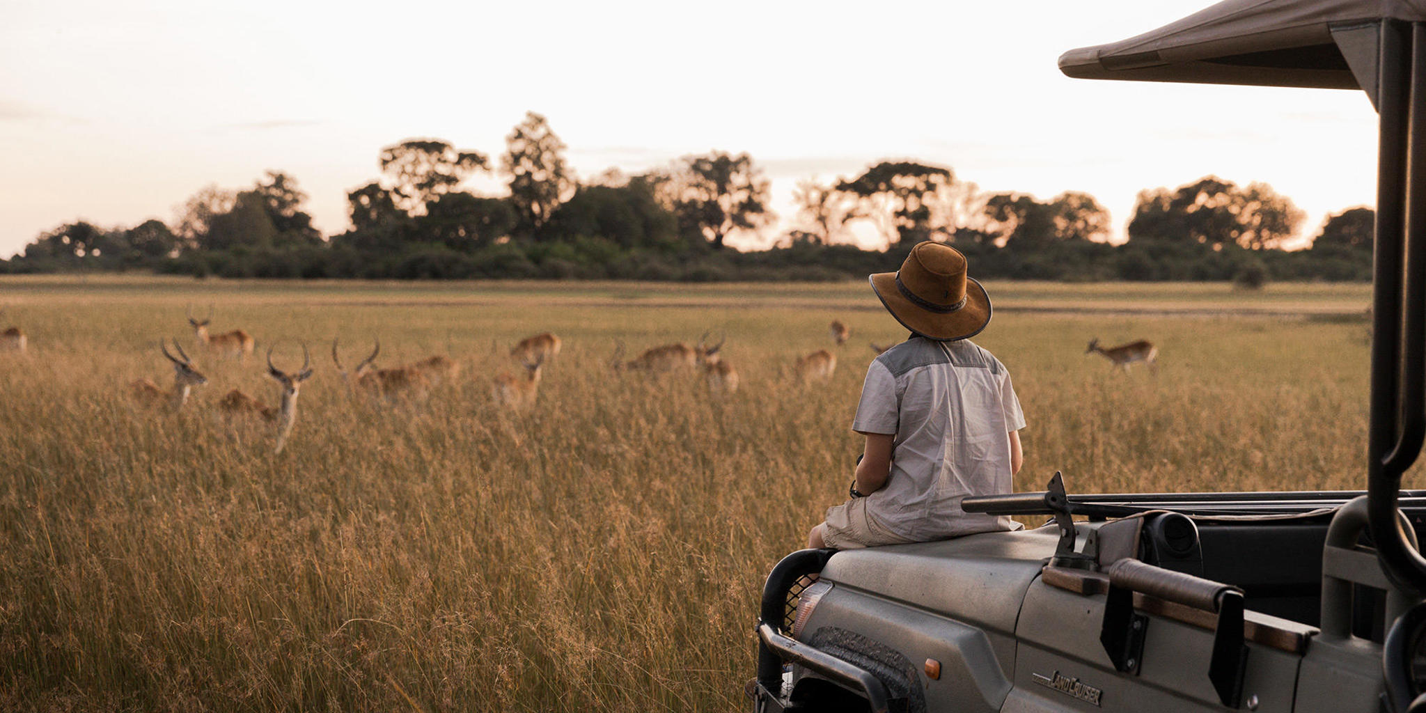 game drive, vumbura plains, okavango delta, botswana