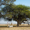 bush breakfast, linkwasha camp, hwange national park, zimbabwe