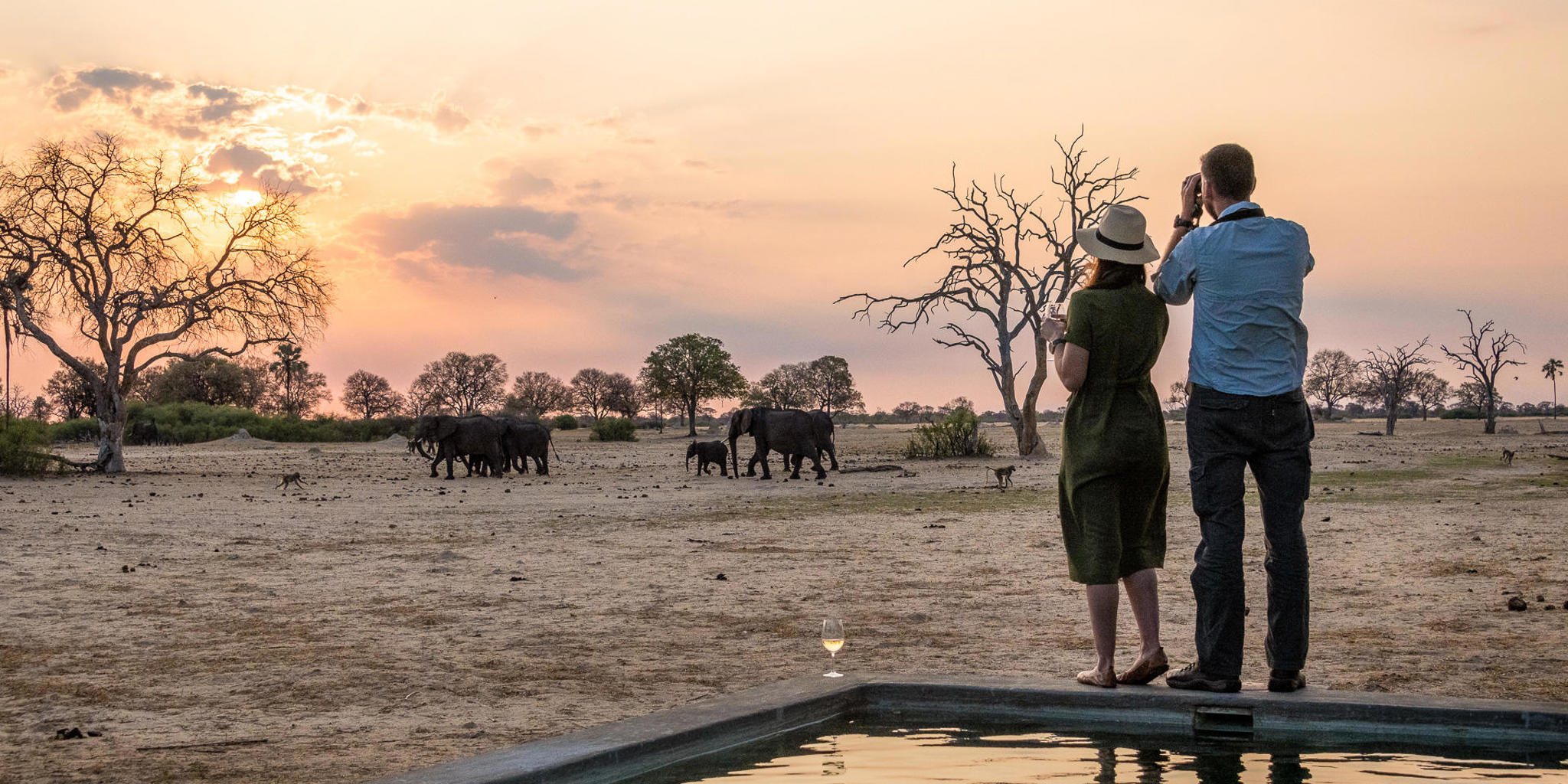 look out, linkwasha camp, hwange national park, zimbabwe