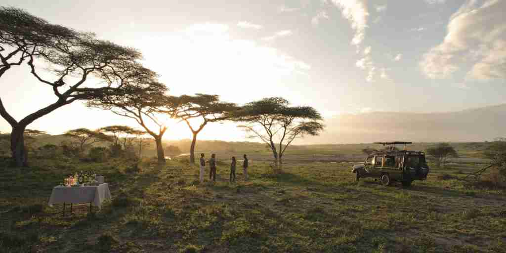 bush breakfast, and beyond serengeti under canvas, tanzania