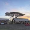 camp exterior, and beyond serengeti under canvas, tanzania