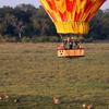 hot air ballooning, and beyond serengeti under canvas, tanzania