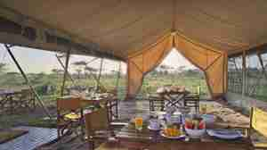 main tent, and beyond serengeti under canvas, tanzania