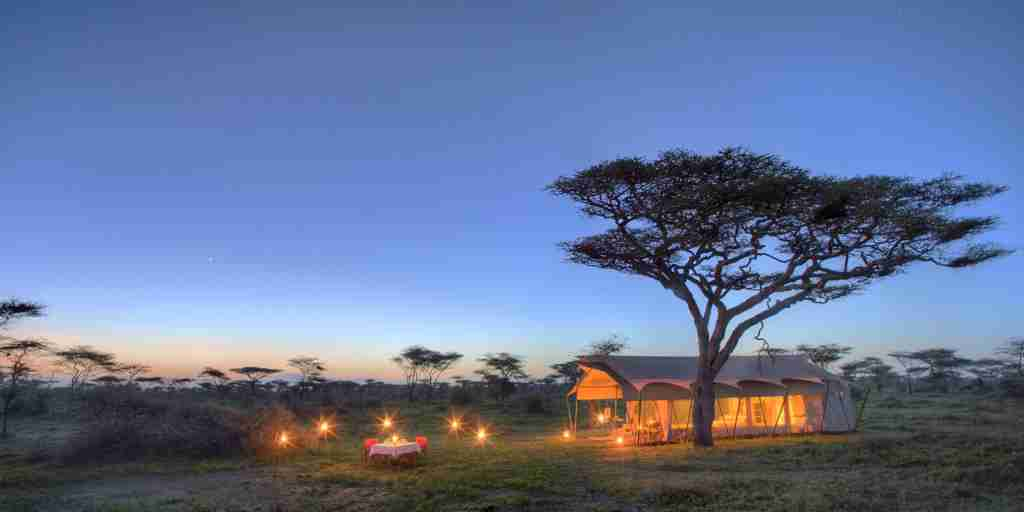 night time tent, and beyond serengeti under canvas, tanzania