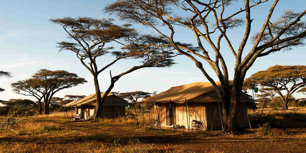 tents, mara under canvas tented camp, the serengeti, tanzania