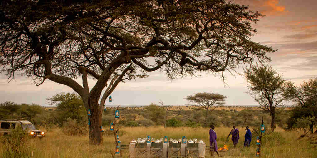 bush dining, four seasons serengeti, tanzania