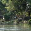 elephant, lolebezi, lower zambezi national park, zambia