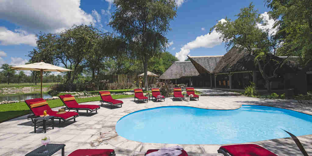 swimming pool, onguma forest camp, etosha national park, namibia