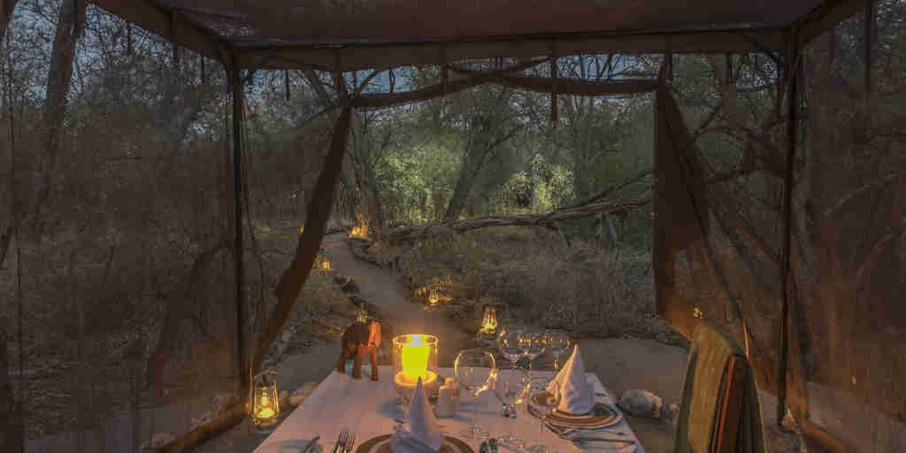 private dining, onguma forest camp, etosha national park, namibia