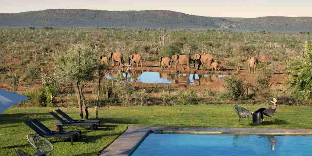 elephants, madikwe lelapa lodge, madikwe game reserve, south africa