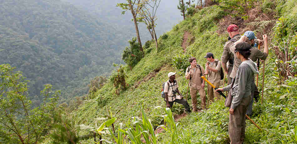 hiking, nkuringo bwindi gorilla lodge, bwindi impenetrable national park, uganda