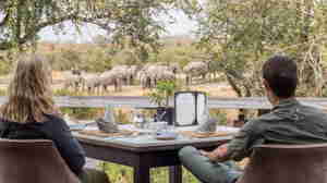 viewing deck, simbambili game lodge, sabi sand reserves, south africa