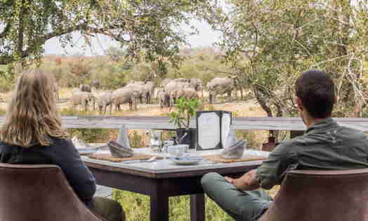 viewing deck, simbambili game lodge, sabi sand reserves, south africa