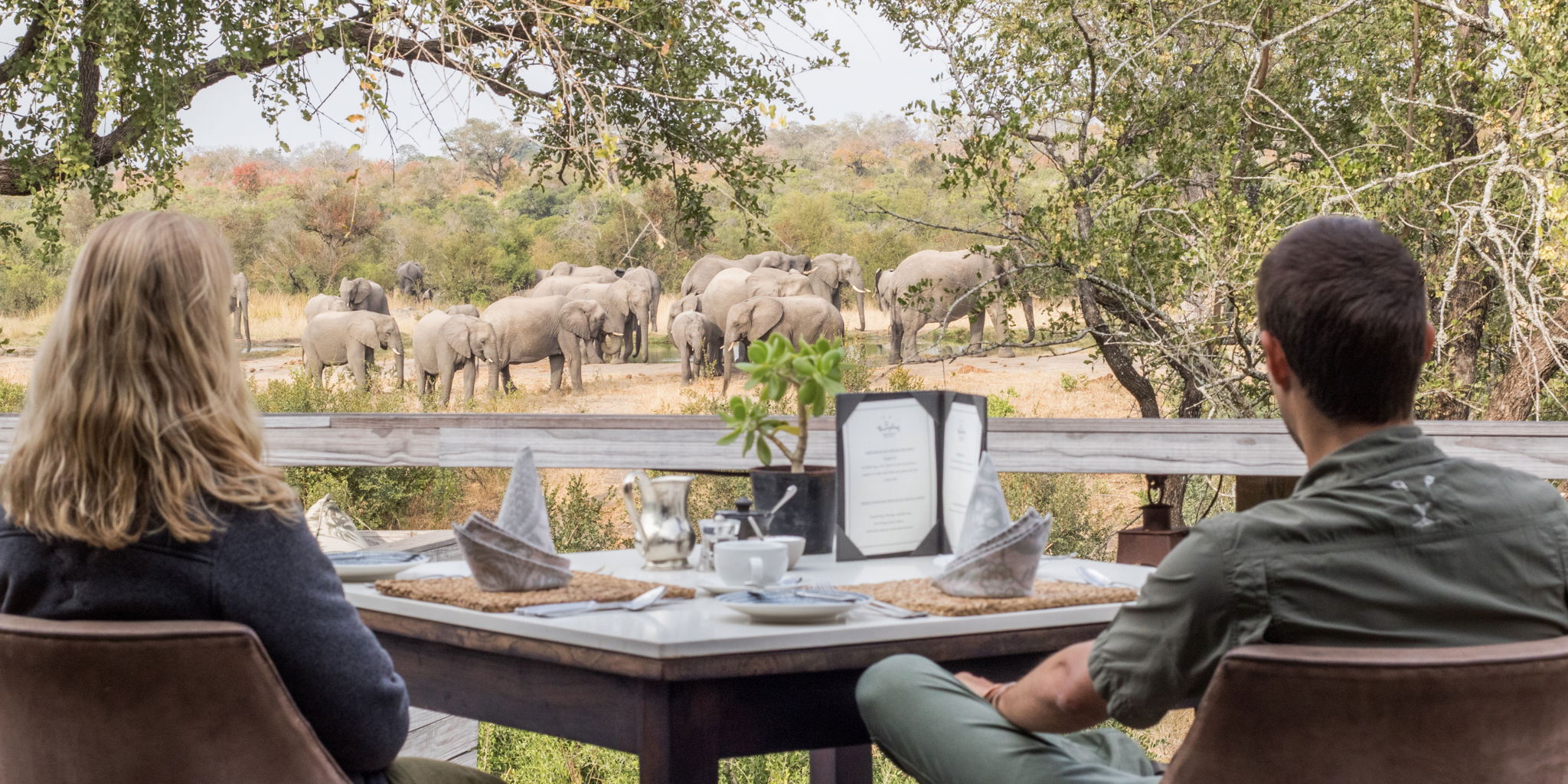 viewing deck, simbambili game lodge, sabi sand reserves, south africa