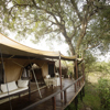 Overlooking a tented camp setting situated within lush, green vegetation. Panning through the deck with patio furniture combined with views of surrounding trees.   