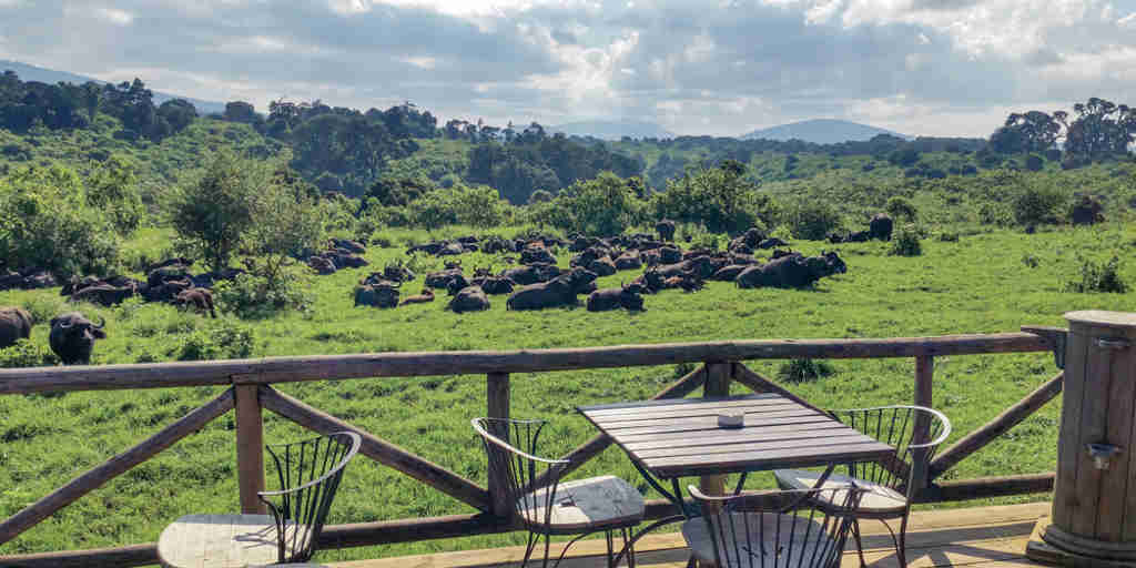 balcony, rhino lodge, the ngorongoro crater, tanzania