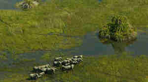 aerial view of botswana, africa safari destinations 