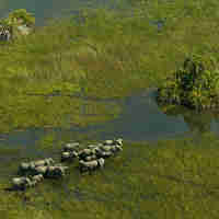 Botswana, Africa Safari Destination