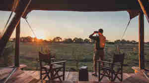 viewing deck, musekse camp, kafue national park, zambia