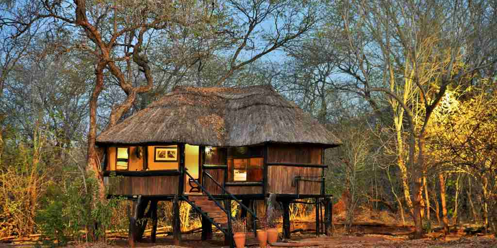 camp exterior, ivory safari lodge, hwange national park. zimbabwe