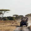 game drive, usanga expedition camp, ruaha national park, tanzania