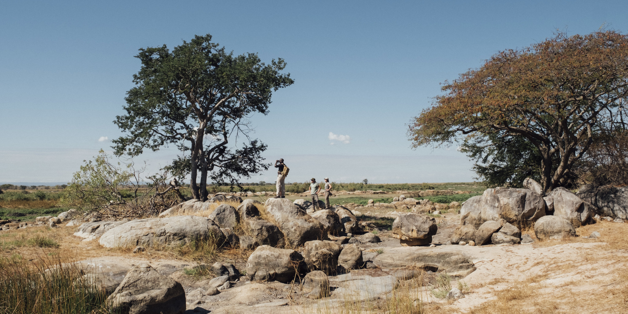 walking safari, usanga expedition camp, ruaha national park, tanzania