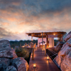 lion sands river lodge south africa sunset yellow zebra safaris