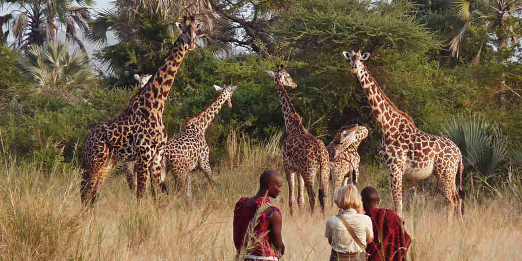 bush walk, chem chem safari lodge, tarangire national park, tanzania