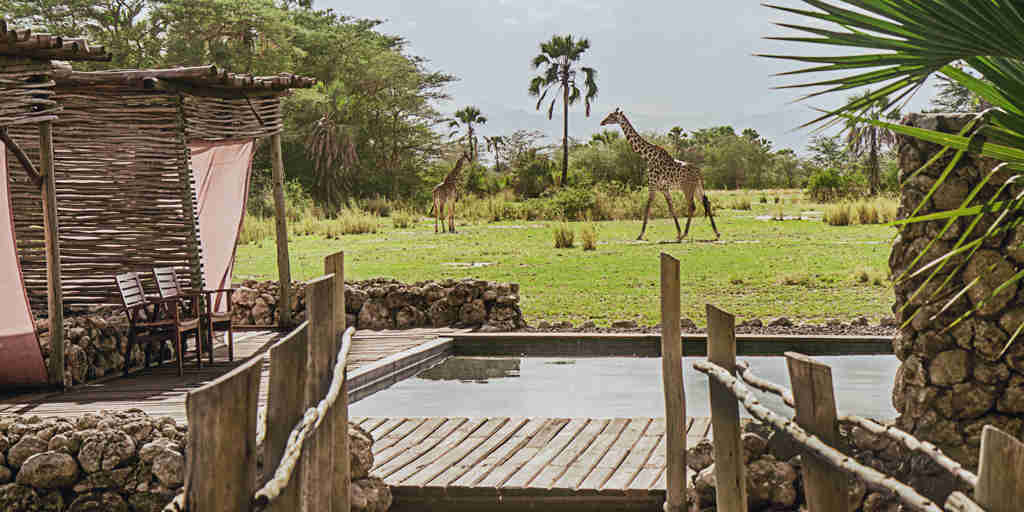 pool area, chem chem safari lodge, tarangire national park, tanzania